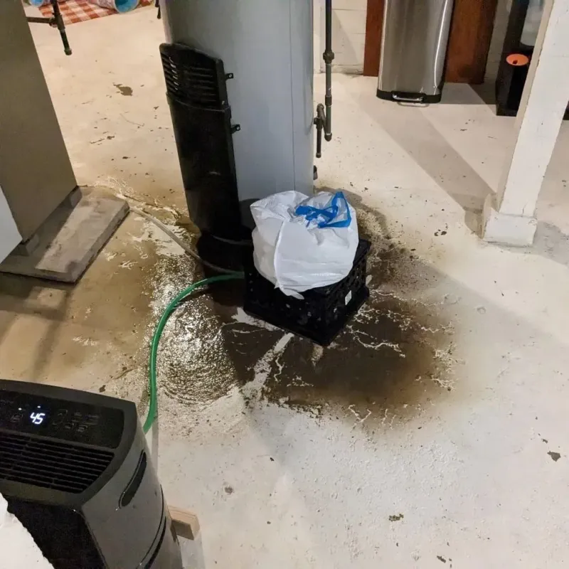 Sewage Backup Cleanup Service in Mint Hill, NC